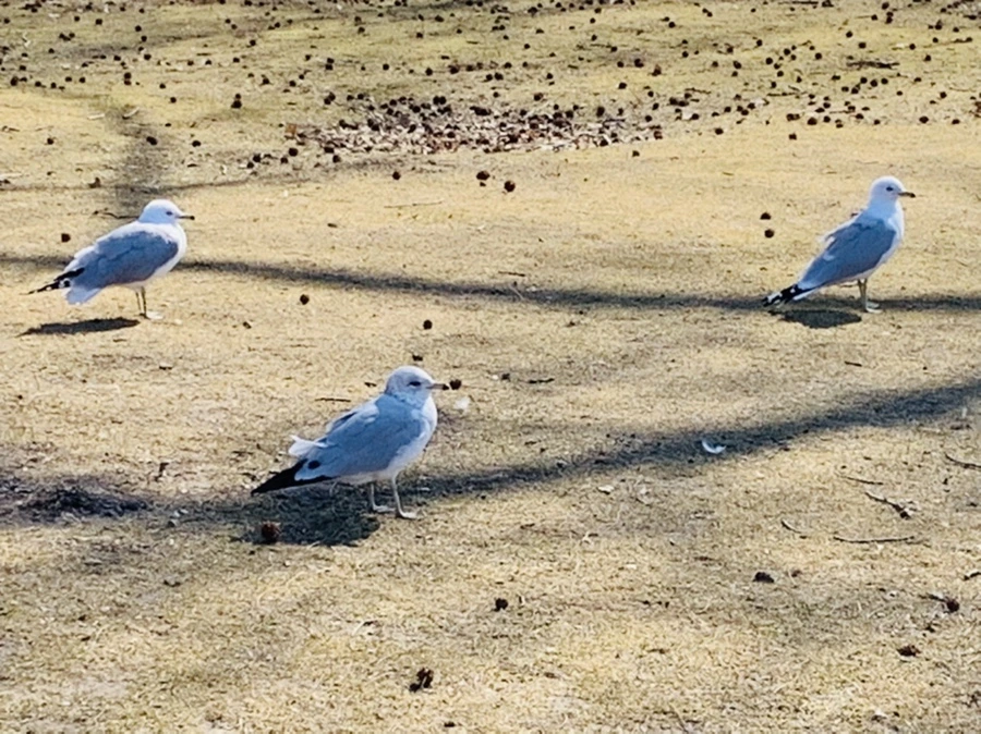 IMG_9286.jpg?type=w966