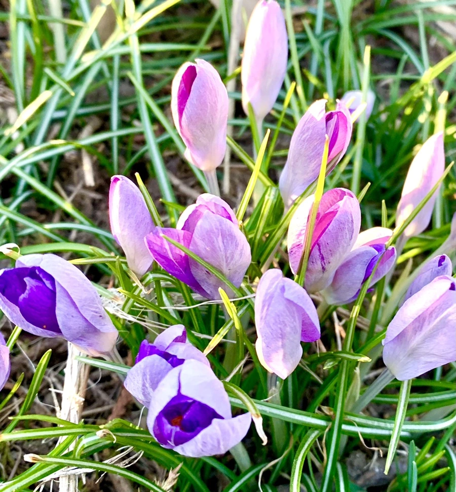 IMG_0755.jpg?type=w966