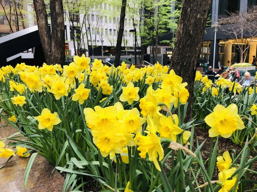 IMG_2599.jpg?type=w966