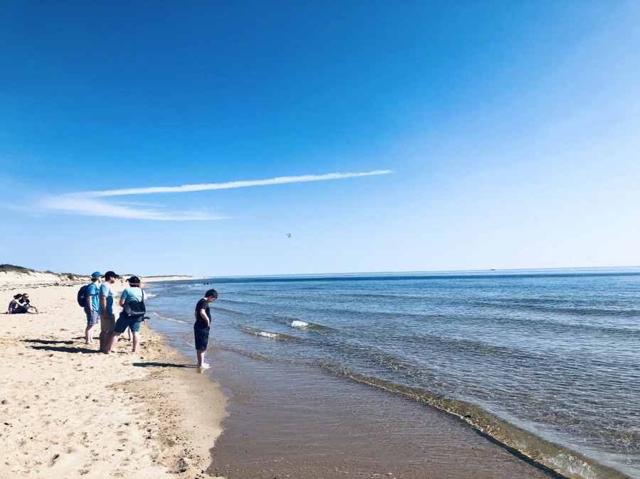 IMG_5120.jpg?type=w966