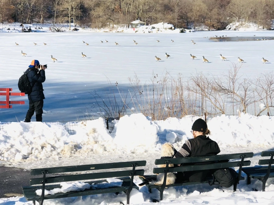 IMG_9857.jpg?type=w966