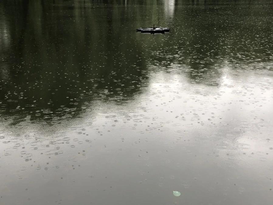 IMG_3212.jpg?type=w966