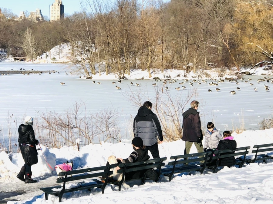 IMG_9898.jpg?type=w966