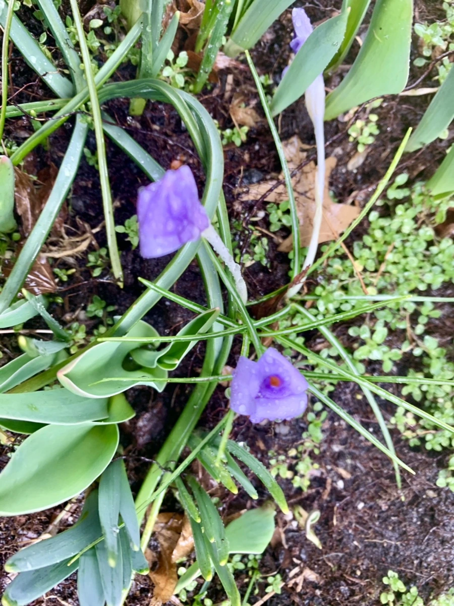 IMG_2148.jpg?type=w966