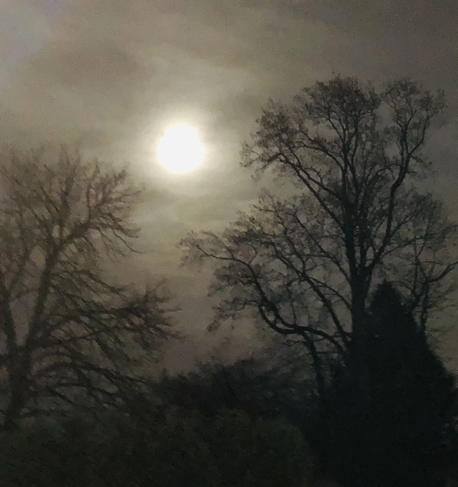 IMG_8575.jpg?type=w966