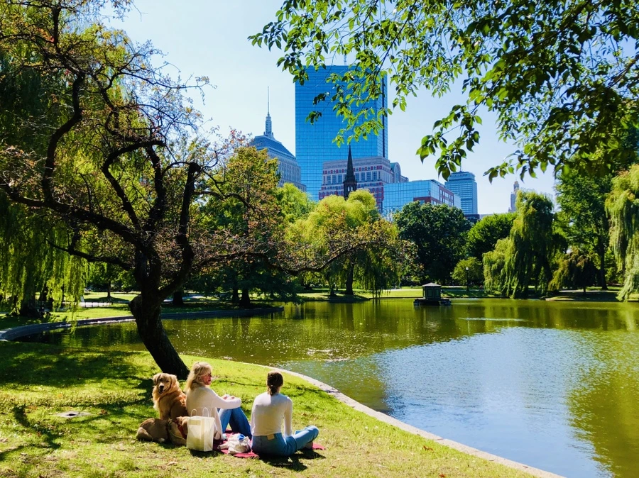 IMG_0448.jpg?type=w966