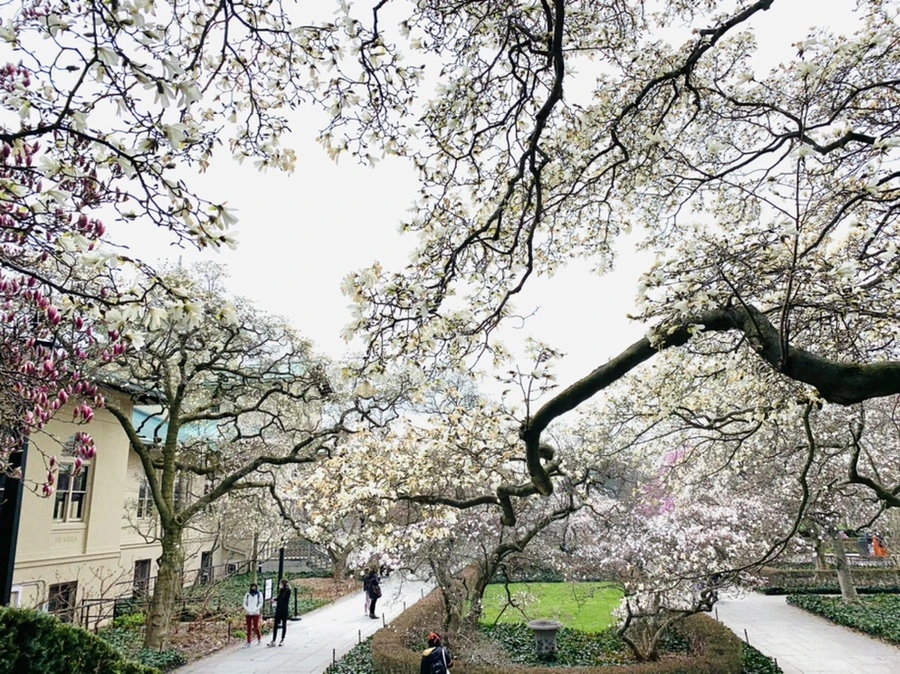 IMG_7125.jpg?type=w966