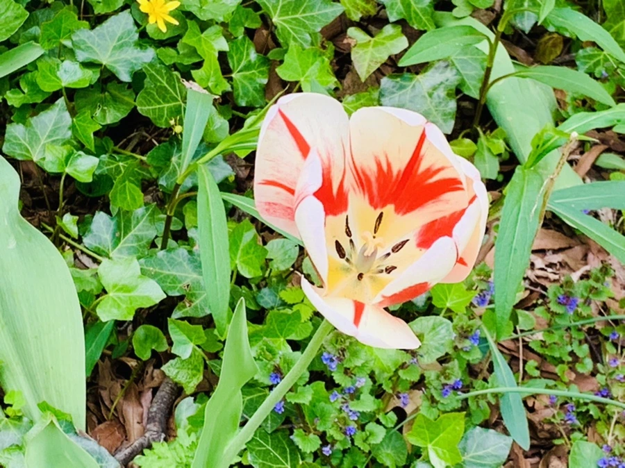 IMG_6888.jpg?type=w966