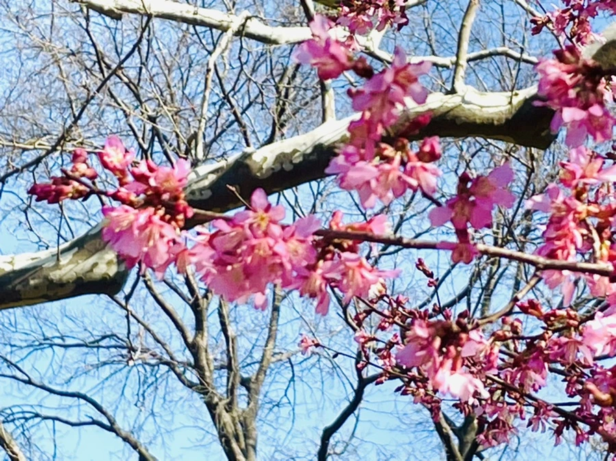 IMG_5612.jpg?type=w966