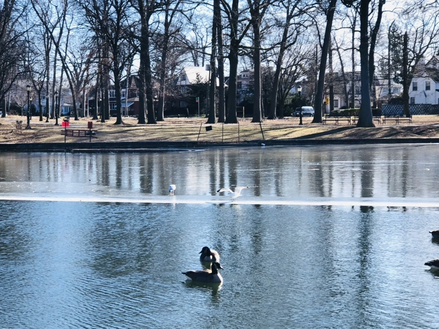 IMG_5520.jpg?type=w966