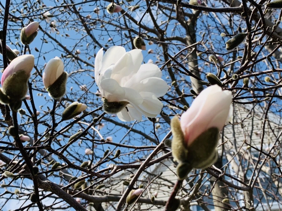 IMG_4349.jpg?type=w966