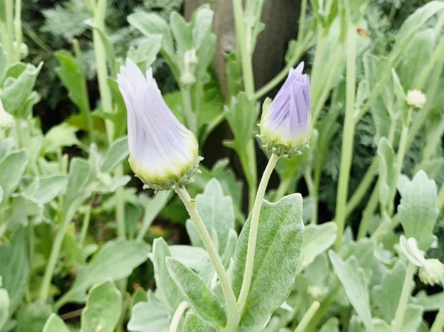 IMG_9492.jpg?type=w966