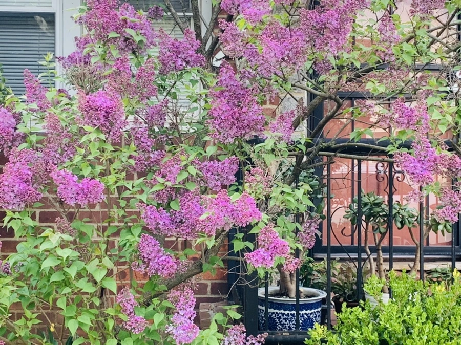 IMG_2842.jpg?type=w966