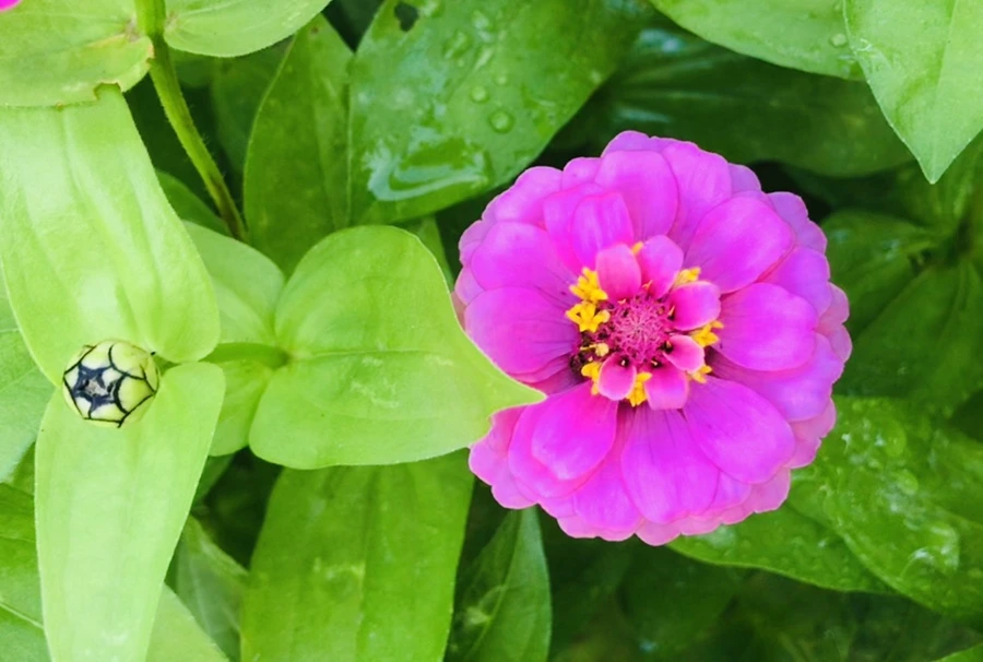 IMG_1840.jpg?type=w966