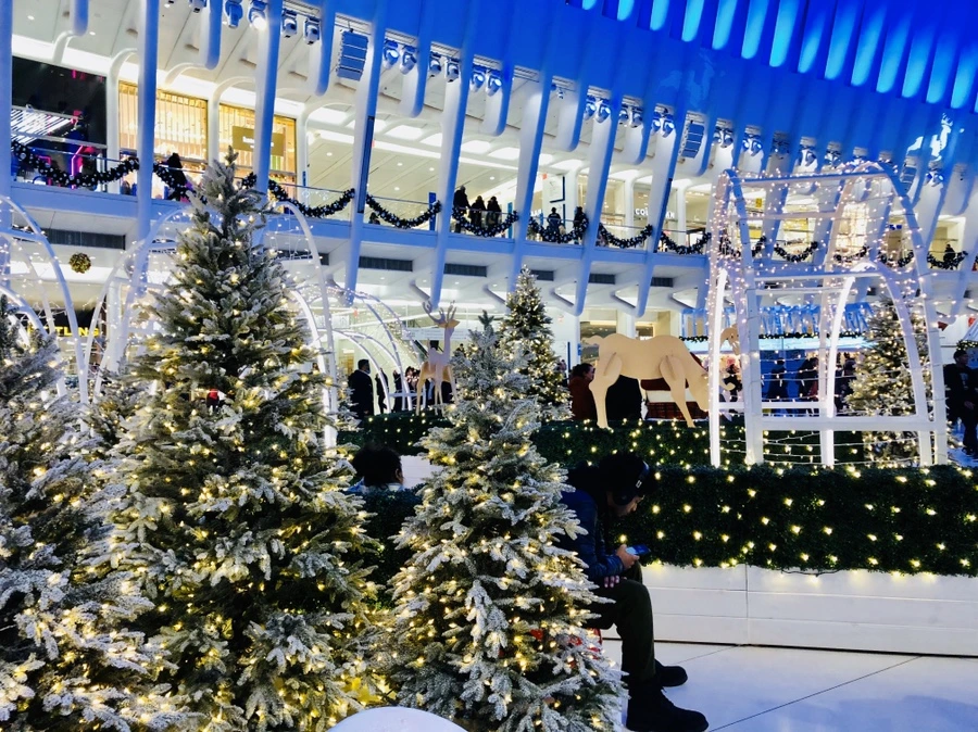 IMG_2529.jpg?type=w966