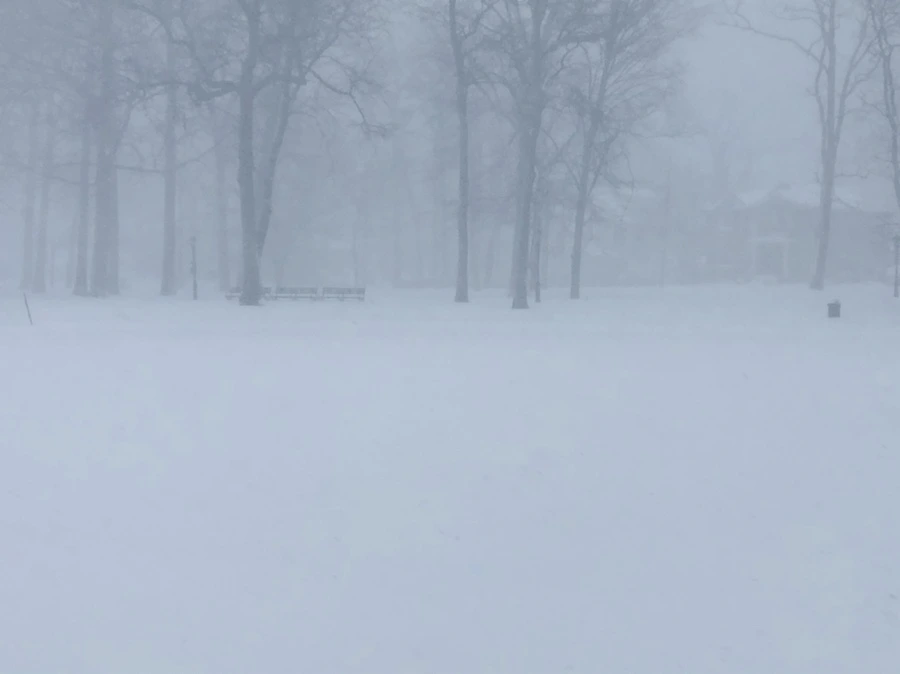 IMG_8836.jpg?type=w966