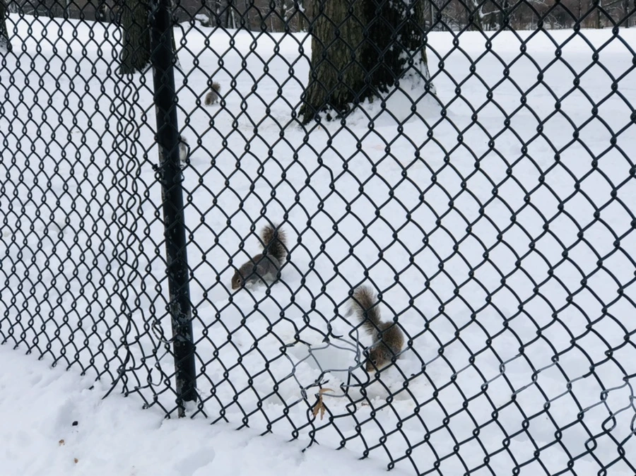 IMG_9256.jpg?type=w966