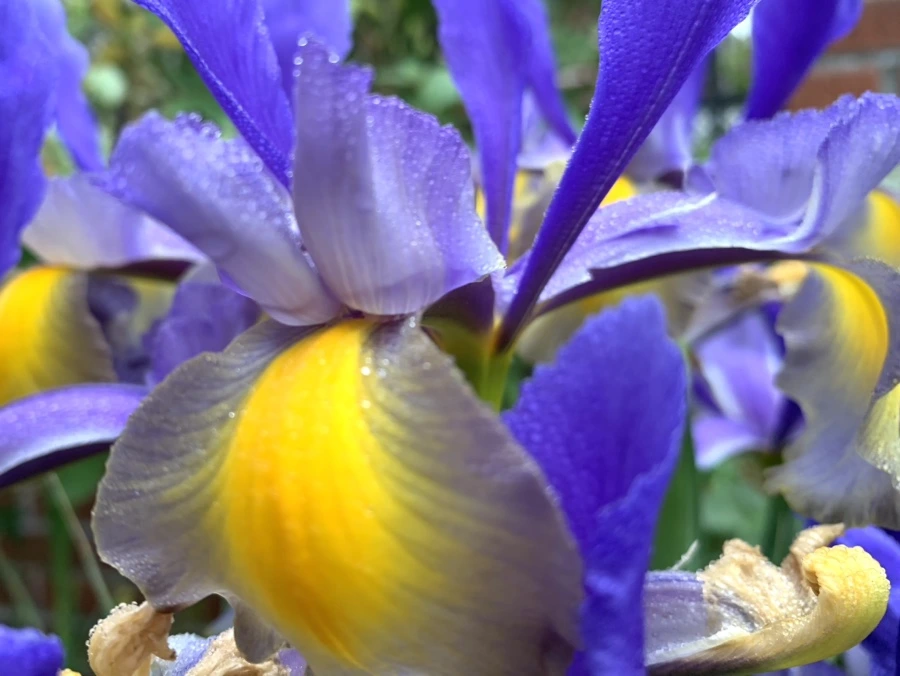 IMG_9700.jpg?type=w966