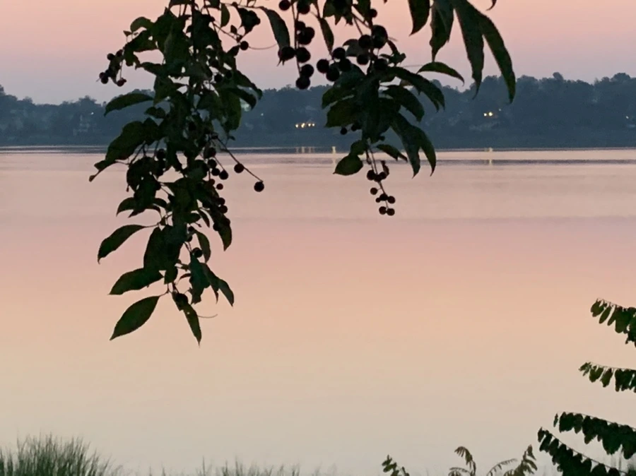 IMG_1848.jpg?type=w966