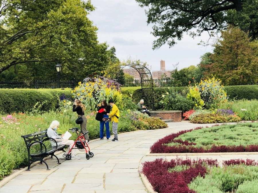 IMG_1831.jpg?type=w966