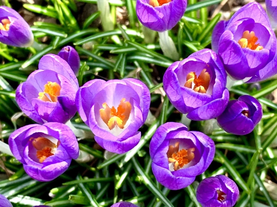 IMG_0148.jpg?type=w966