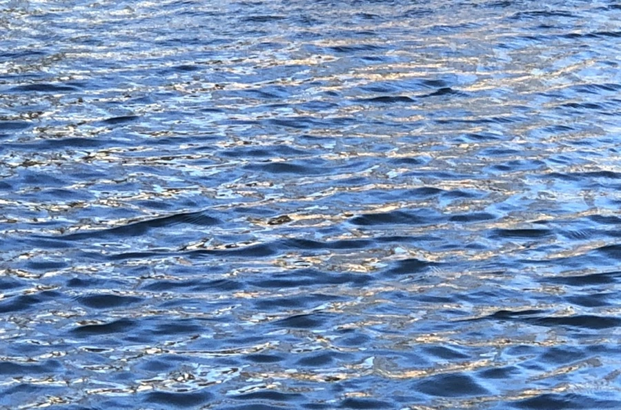 IMG_3829.jpg?type=w966