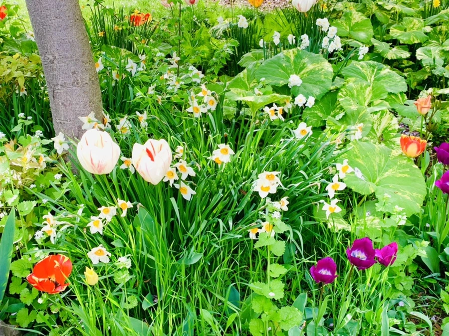 IMG_7024.jpg?type=w966