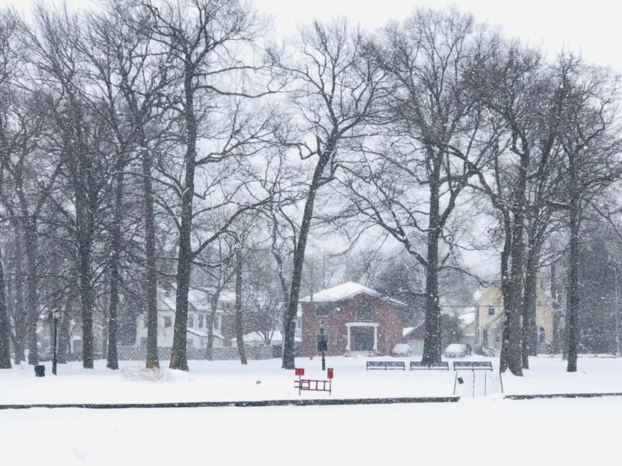 IMG_3370.jpg?type=w966