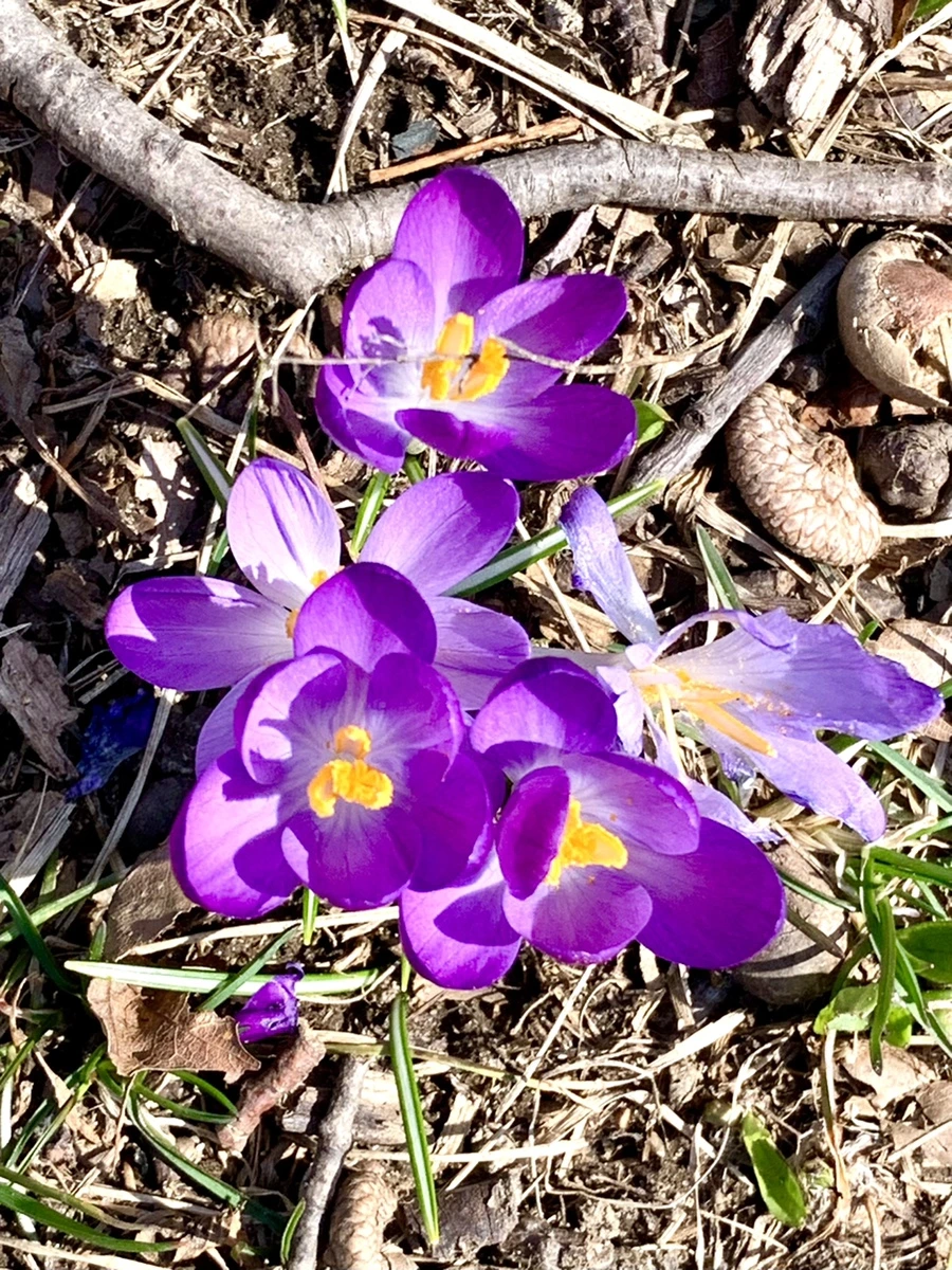 IMG_3161.jpg?type=w966