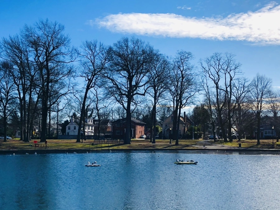 IMG_1229.jpg?type=w966