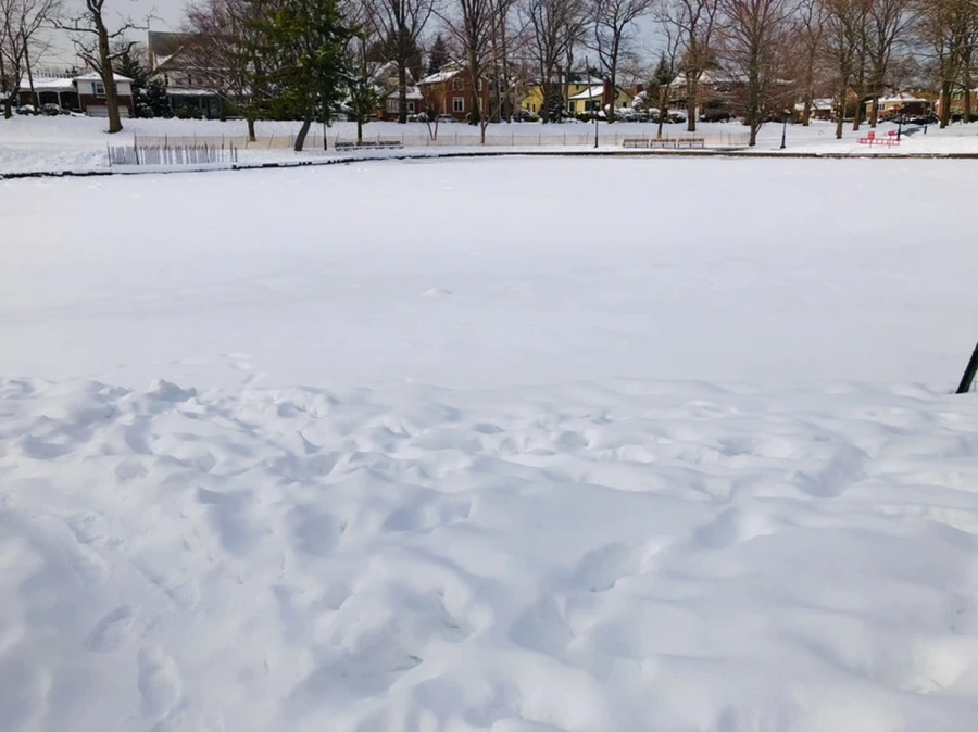 IMG_2157.jpg?type=w966