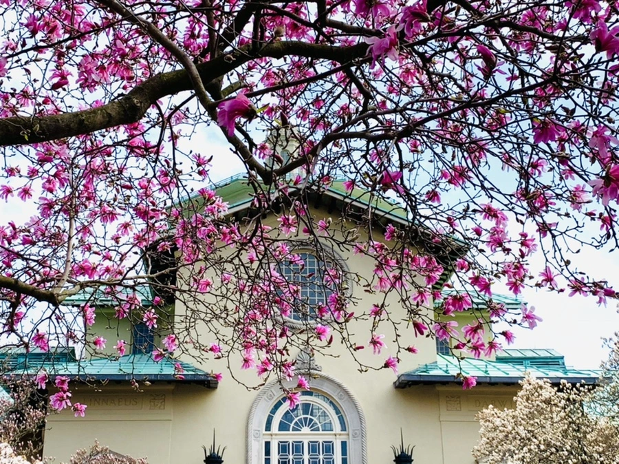 IMG_7232.jpg?type=w966