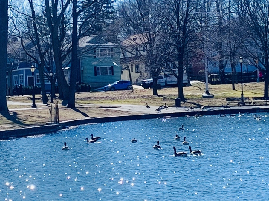 IMG_7591.jpg?type=w966