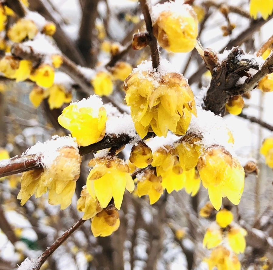 IMG_3489.jpg?type=w966