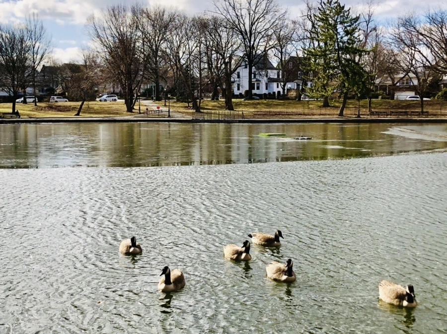 IMG_5211.jpg?type=w966