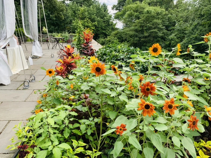 IMG_9324.jpg?type=w966