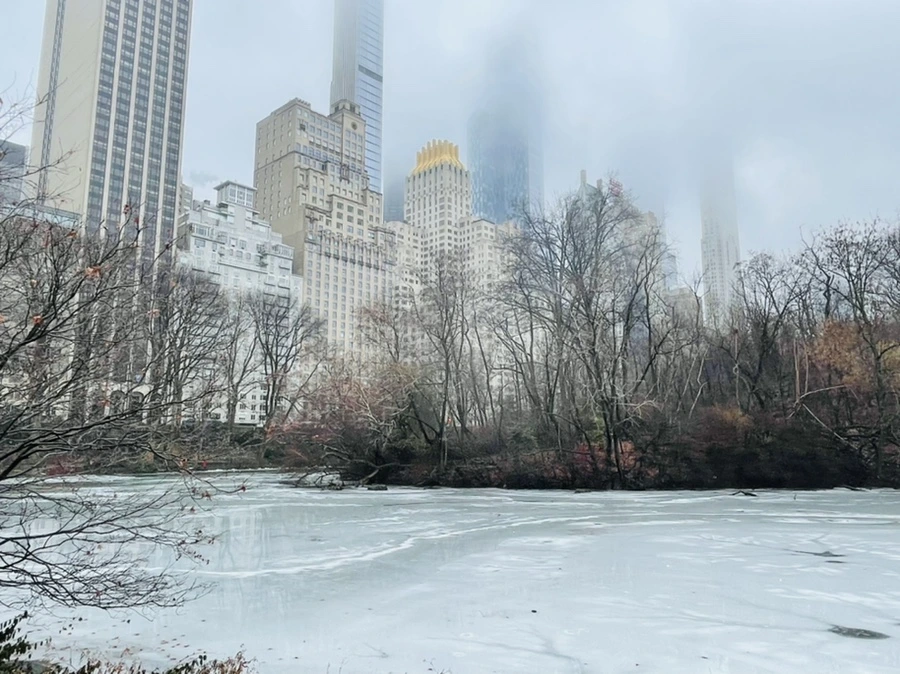 IMG_1573.jpg?type=w966