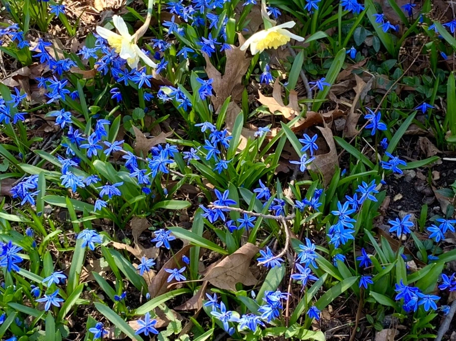 IMG_5758.jpg?type=w966