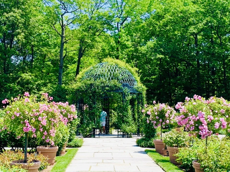 IMG_3826.jpg?type=w966