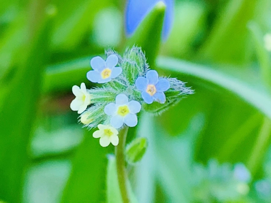 IMG_8263.jpg?type=w966