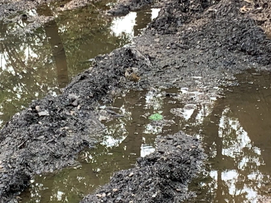 IMG_8307.jpg?type=w966