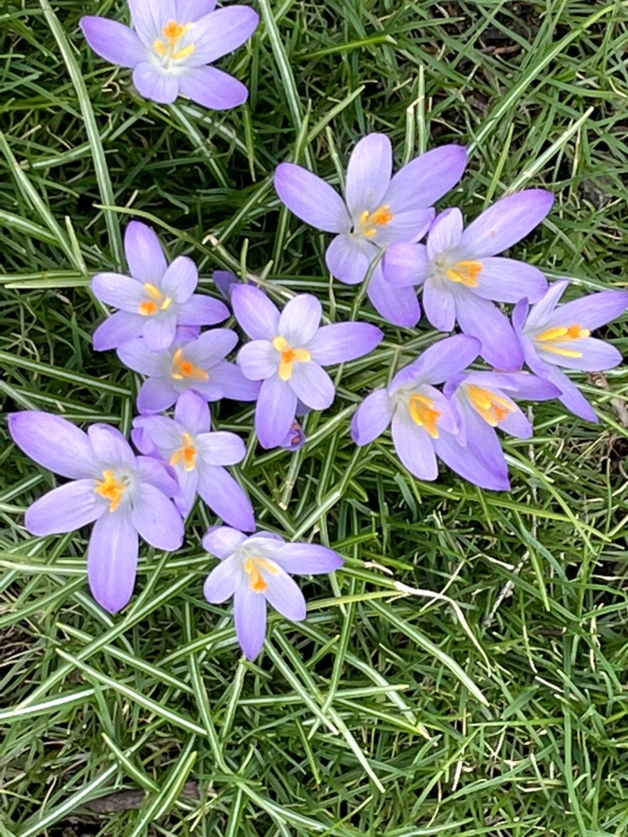 IMG_4072.jpg?type=w966