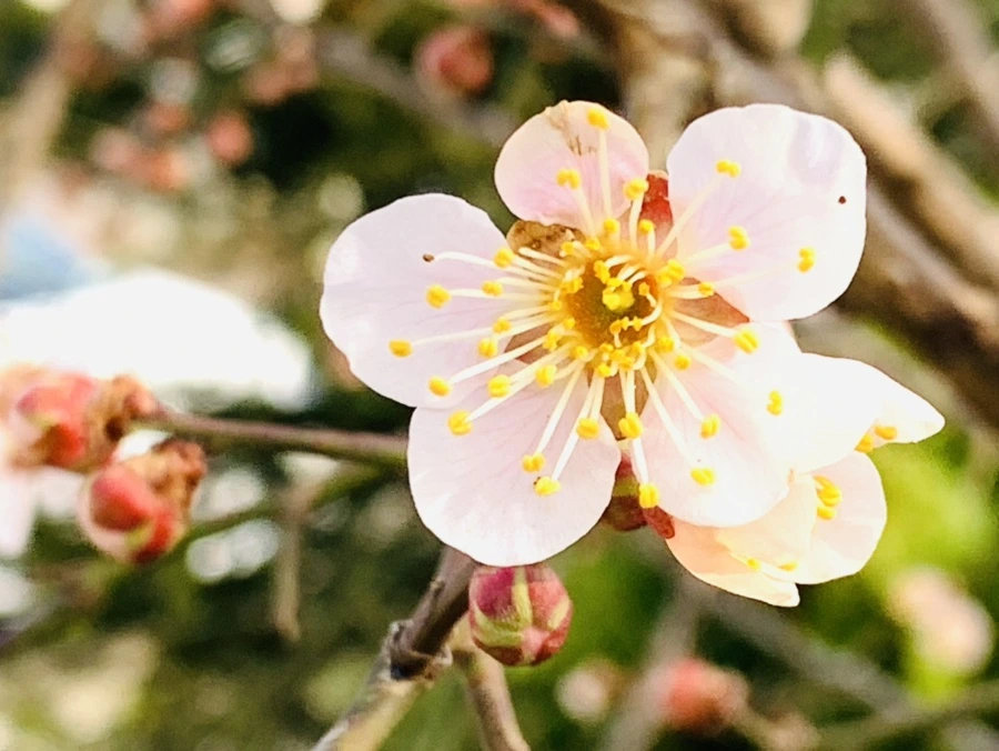 IMG_0259.jpg?type=w966