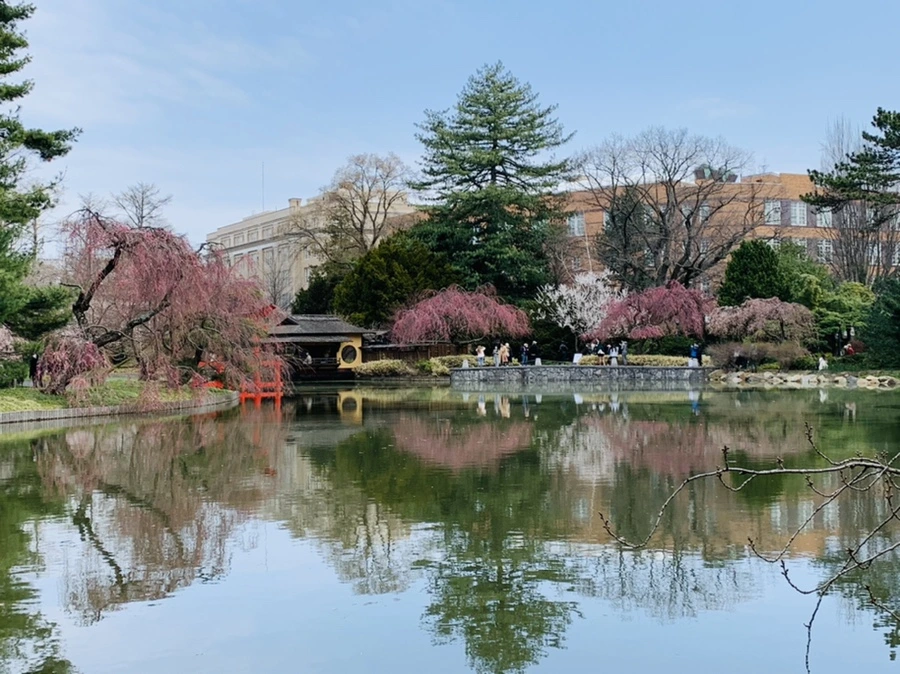 IMG_7115.jpg?type=w966