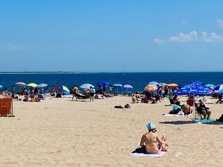 IMG_8812.jpg?type=w966