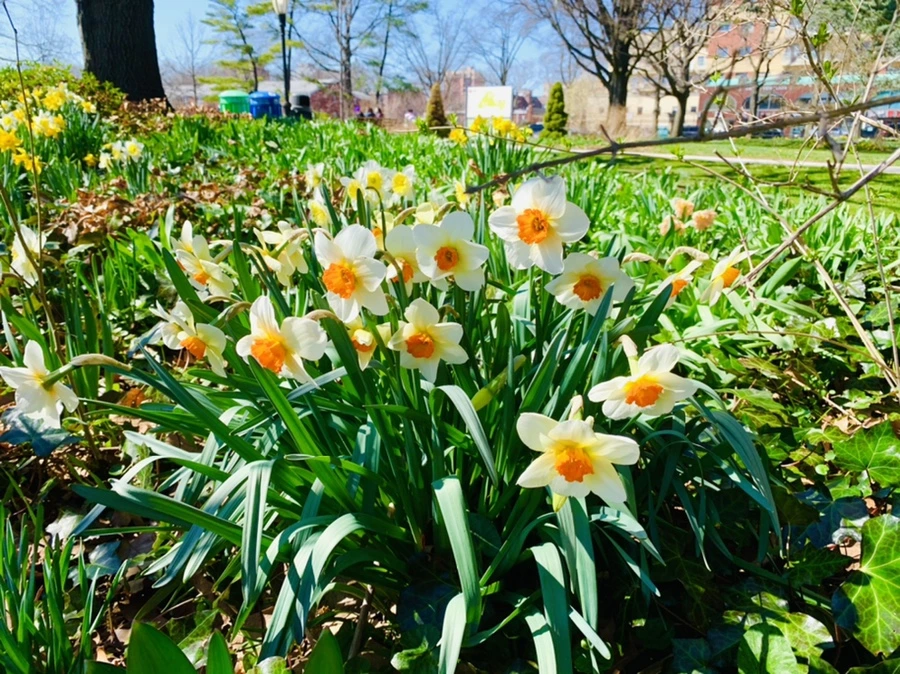 IMG_5801.jpg?type=w966