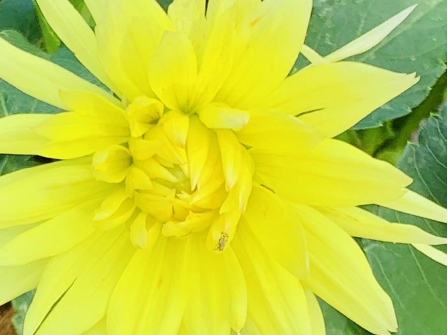 4wTD8zGdLu9ikVZo4TMuR6RBRVU