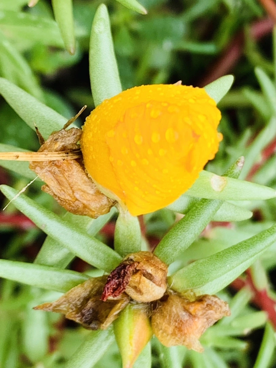 IMG_4945.jpg?type=w966