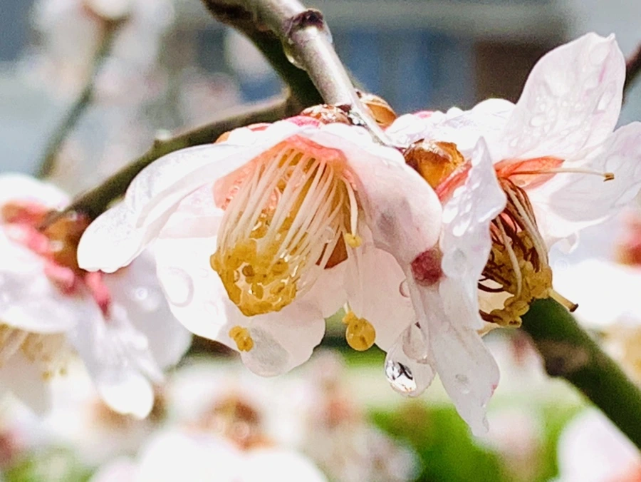 IMG_3978.jpg?type=w966