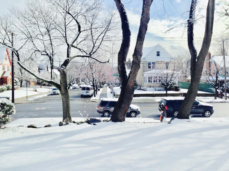 IMG_7851.jpg?type=w966